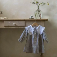 Load image into Gallery viewer, Gingham Dress With Maxi Collar (Two Colours)