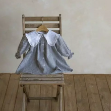 Load image into Gallery viewer, Gingham Dress With Maxi Collar (Two Colours)