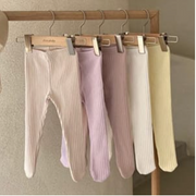 Pastel Ribbed Tights (Three Colours )